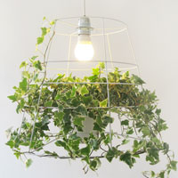 photosynthesis-lamp_3_cowandco.co_A