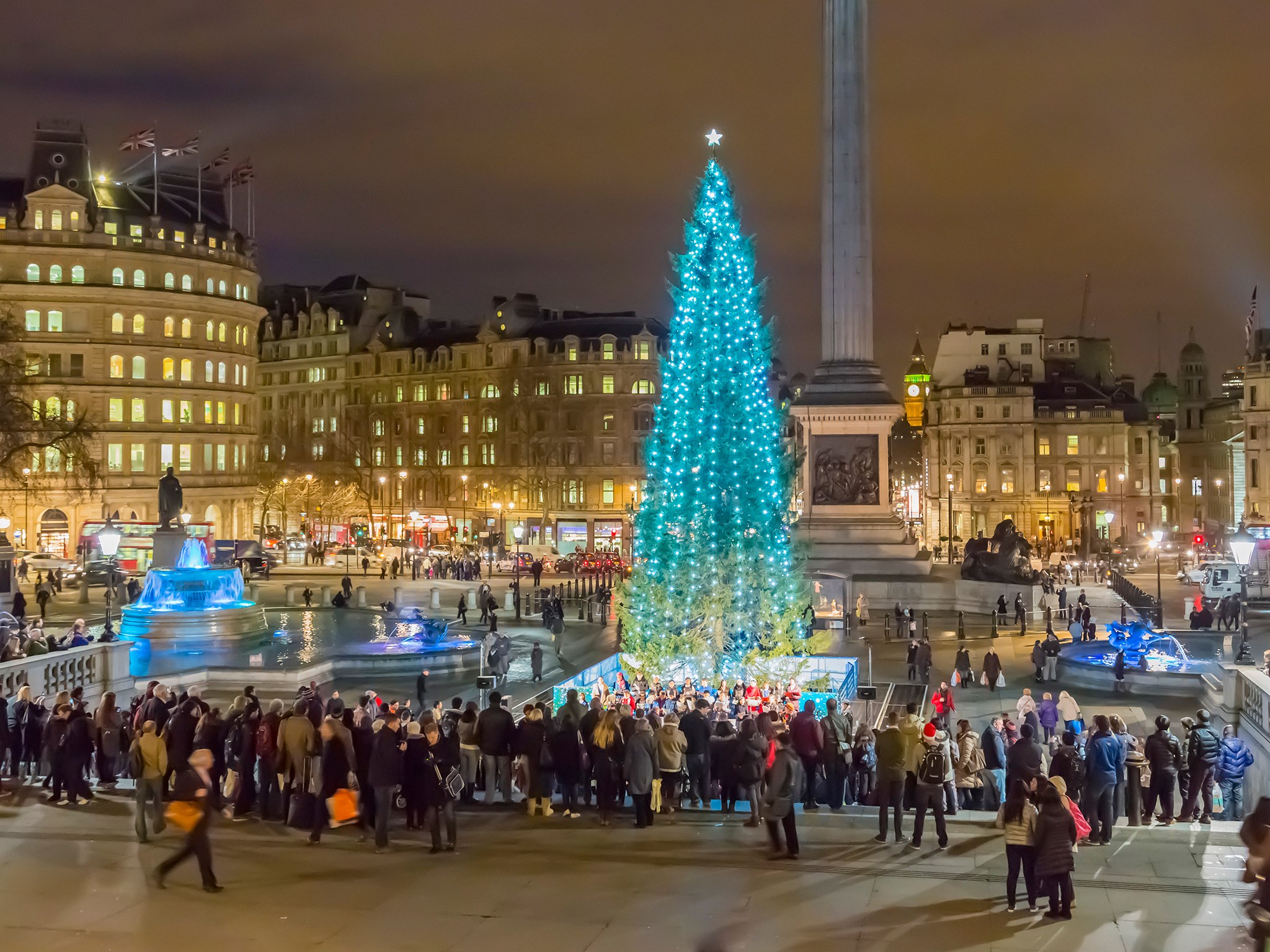 Gli Alberi di Natale più Belli del Mondo Studio Motterle